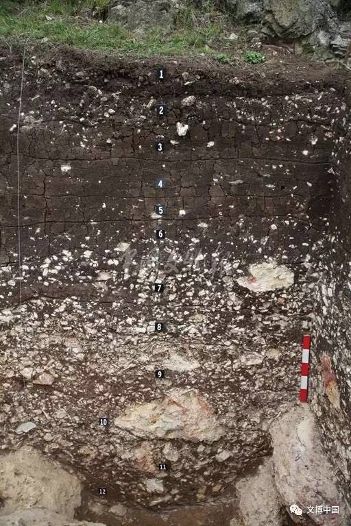 考古奥斯卡︱花落谁家：对2016十大考古发现评选的解读