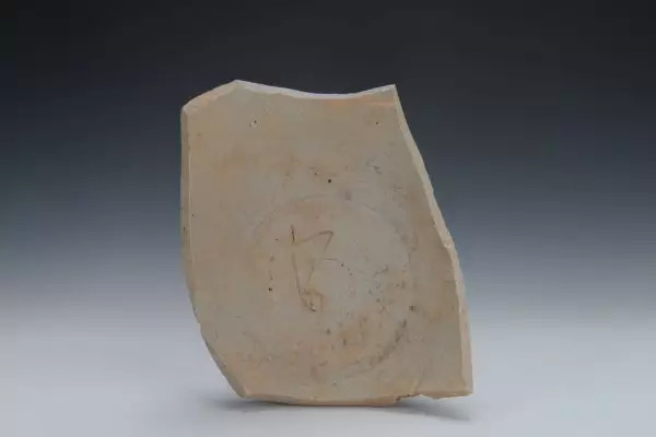 考古奥斯卡︱浙江慈溪唐五代秘色瓷窑址：填补陶瓷史的空白