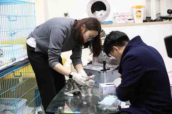 看电视丨“跑男”本周开跑，首期节目“鸡毛换糖”