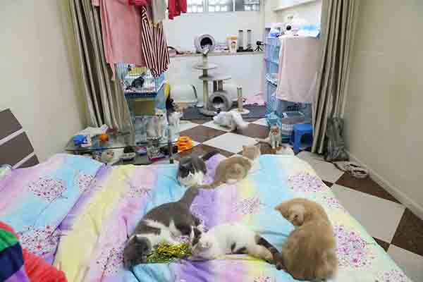 看电视丨“跑男”本周开跑，首期节目“鸡毛换糖”