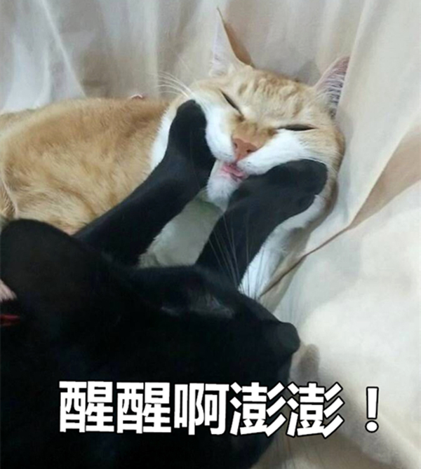 澎湃联播｜漫漫寻亲路，还需要多少苦等、巧合和误会