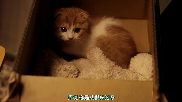 与五个陌生女人同一屋檐下是种什么样的体验