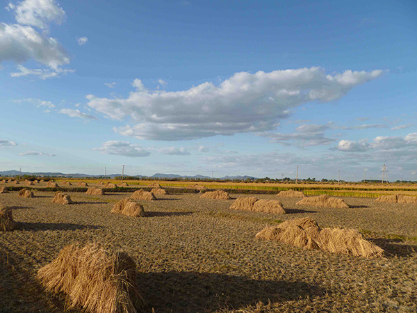对谈 | 一个美国作家眼中的俺们那嘎达