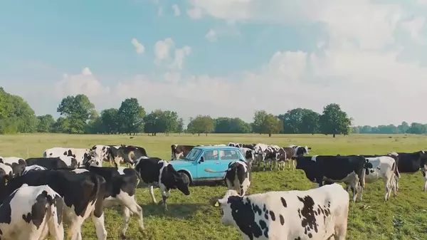 睡不着丨没想到会在这部德国青春片里见到少年“周润发”