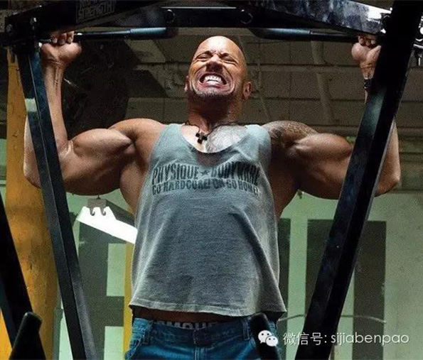 《速8》硬汉健身全解析！没练好肌肉，都不敢自称老司机