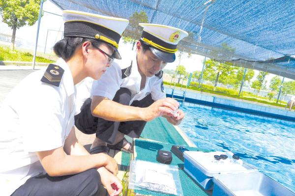 又到了“喝尿”季节！一个泳池含尿140瓶，你还敢去游泳吗