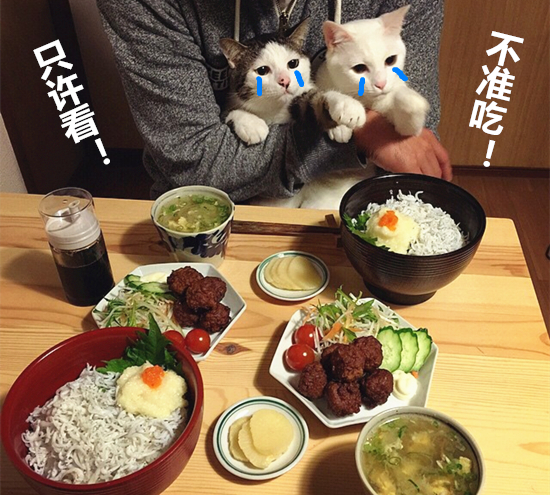 澎湃联播|别像易到一样去战斗，也别像乐视一样当“爸爸”