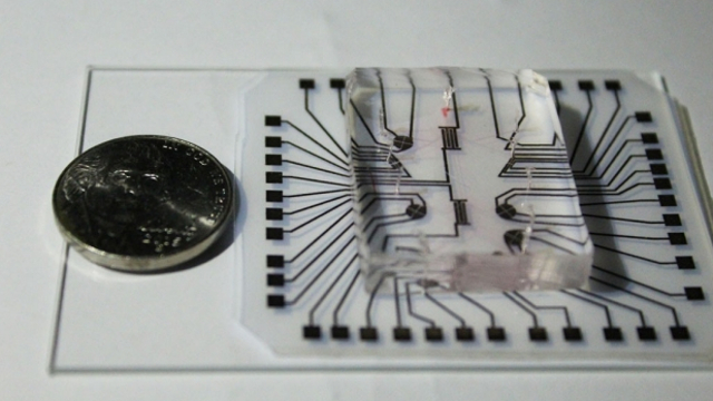 我该做癌症筛查吗？