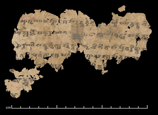 不排队了！去逛网上博物馆