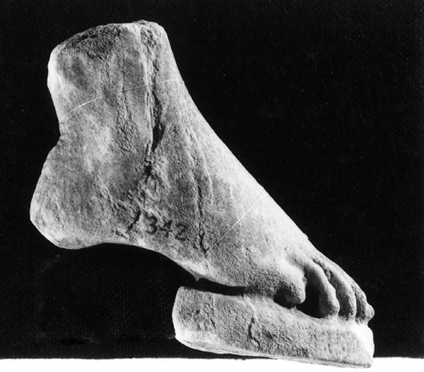 不排队了！去逛网上博物馆