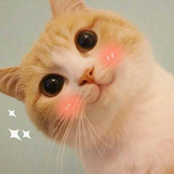 晚安｜有些人就是戏多