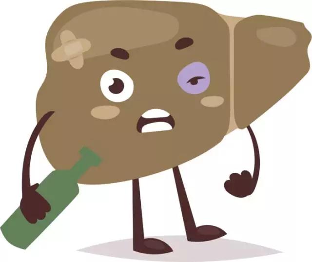 痛饮之后，肥肉上身