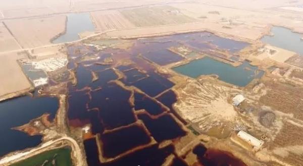 碧水源否认涉华北超级工业污水渗坑：未与大城县达成合作关系