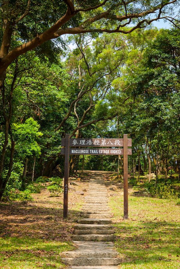 周末去香港郊野走一趟，为快生活按下暂停键