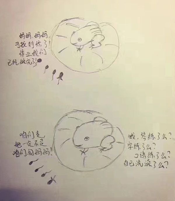 “后妈”吐血分享：逼小蝌蚪们写作业之花样大法