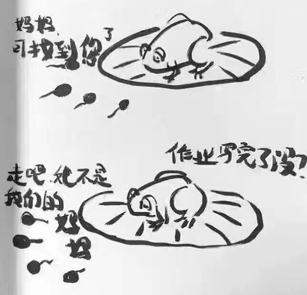 “后妈”吐血分享：逼小蝌蚪们写作业之花样大法