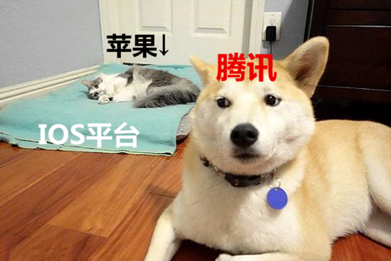 澎湃联播｜苹果PK微信，在我地盘这儿你就得听我der