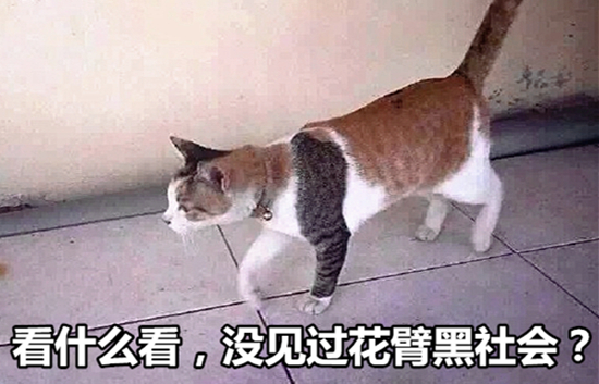 澎湃联播｜苹果PK微信，在我地盘这儿你就得听我der