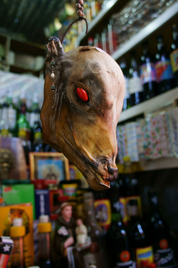 在话语间，窥见秘鲁的灵魂