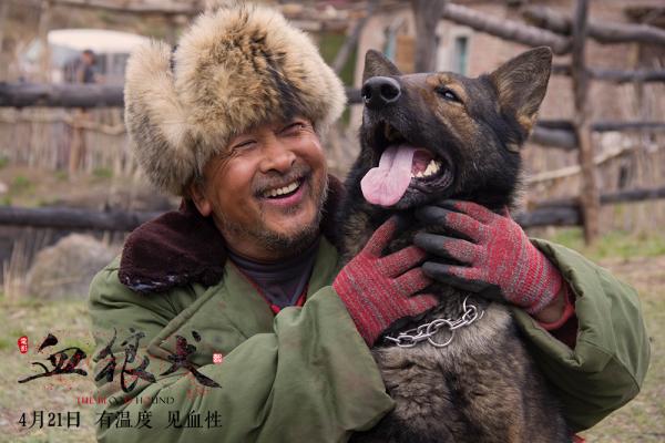 黄宏演绎西北护林“犬王”，藏在人物里与狼共舞