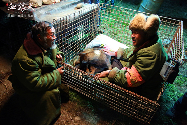 黄宏演绎西北护林“犬王”，藏在人物里与狼共舞