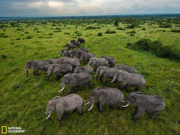 远离喧嚣觅异域风情，小众出境游势头正好