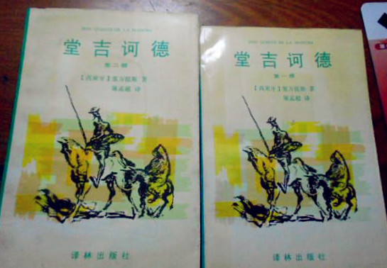 新华书店80年｜“80后”迤帆：我哆嗦着买下一套堂吉诃德