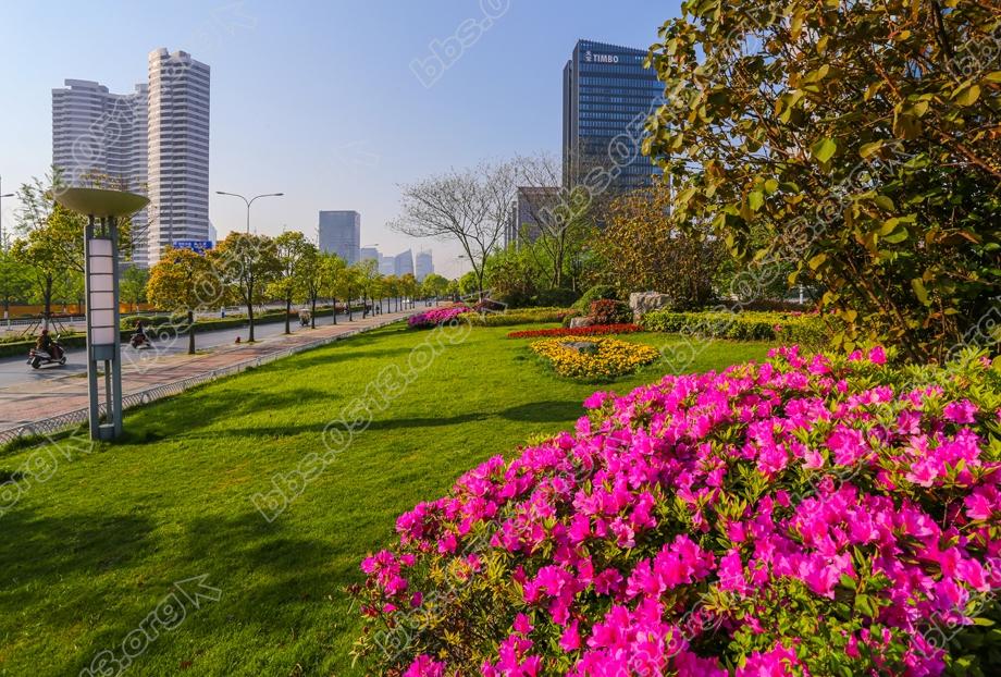 南通 暮春处处杜鹃红 (4).jpg