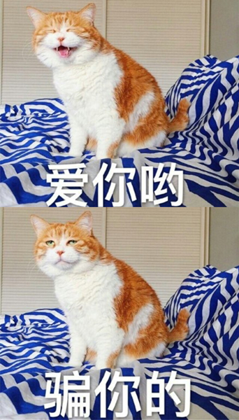 澎湃联播｜平行世界的灰姑娘：“不速之客”娜娜