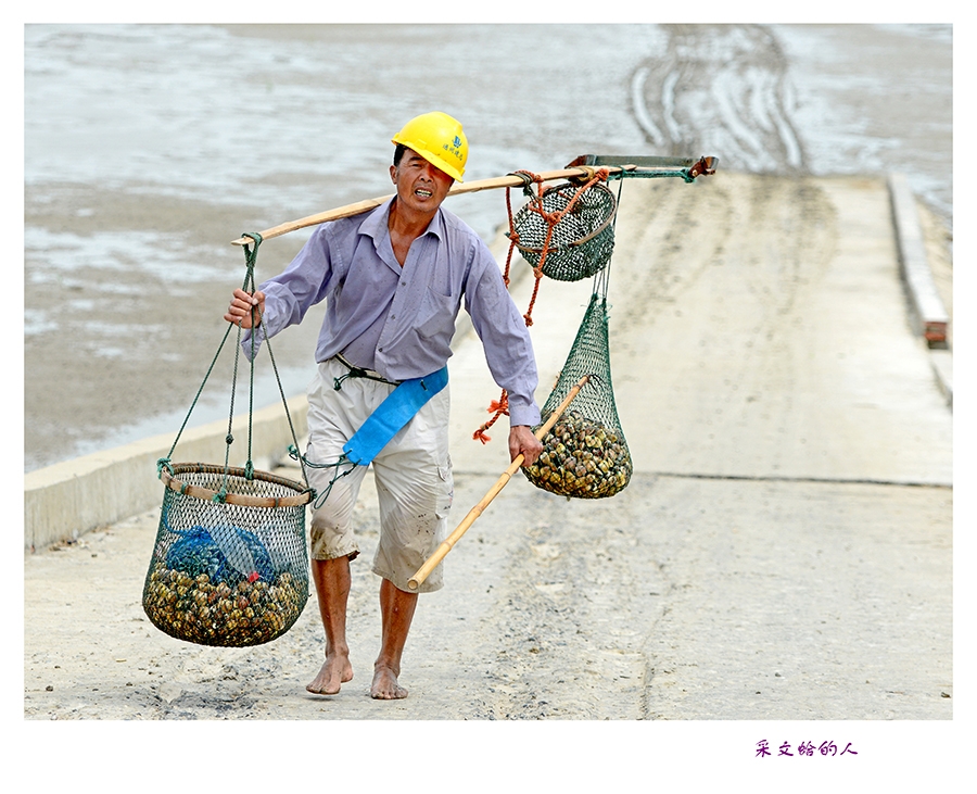 采文蛤的人4.jpg