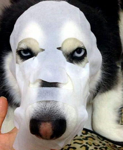 澎湃联播｜“以克论净”标准制定者：下一步可能要精确到纳米