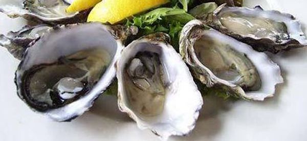 丹麦喊你吃生蚝，但生蚝不是想挖就能挖的