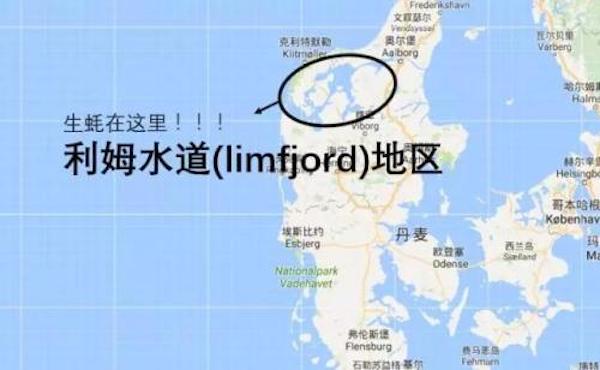 丹麦喊你吃生蚝，但生蚝不是想挖就能挖的