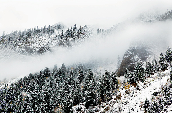 走着瞧 | 柏林井盖变雕版，西藏拟建全球最大国家公园