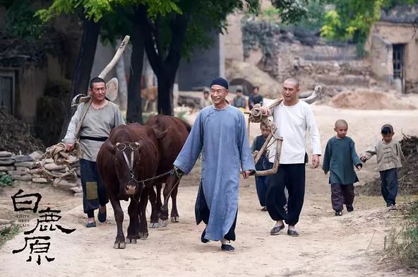 陈忠实逝世一周年｜《白鹿原》中被标注最多的10句话