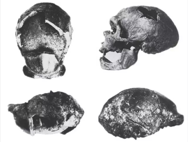 人肉很有营养吗？为什么史前人类要吃人？