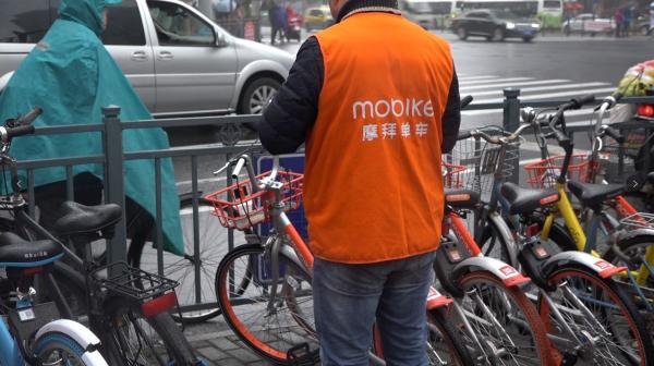 视频｜共享单车运营经理：有时一天搬车千辆，很多违停是从众