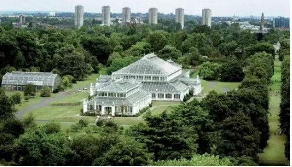 被一片叶子改变的世界史：中国红茶的兴与衰