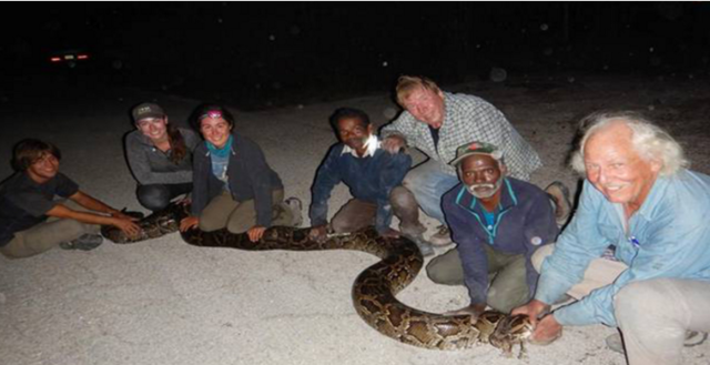 既是天堂也是地狱: “大面积感染”入侵生物的佛罗里达州