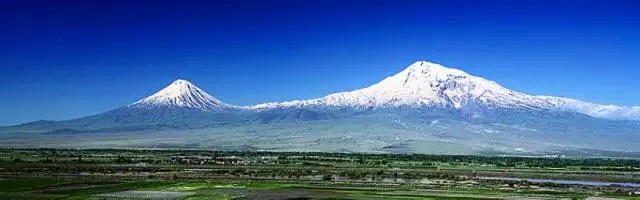 困扰博物学家两百年的问题，又有答案啦！