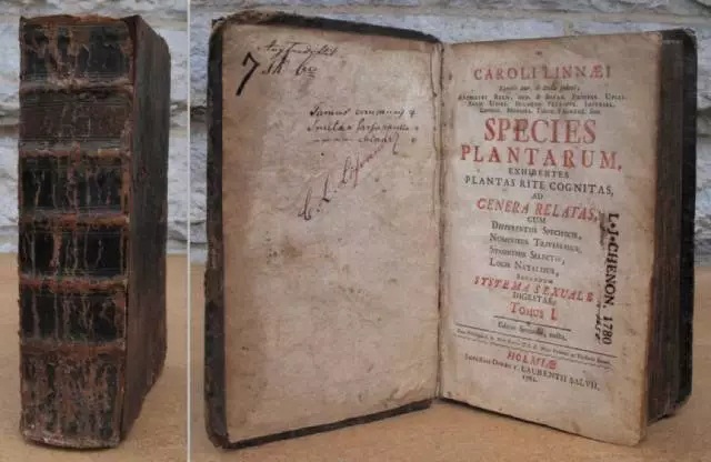 困扰博物学家两百年的问题，又有答案啦！