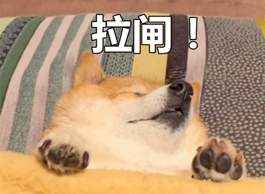 澎湃联播｜关于“婚礼上男方200多亲朋全是雇的”n种脑补