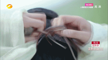 《思美人》：这大概是屈原被黑得最惨的一次