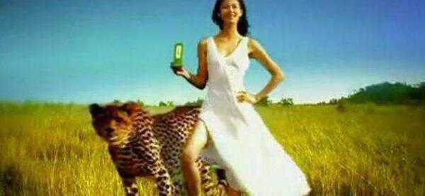 《思美人》：这大概是屈原被黑得最惨的一次