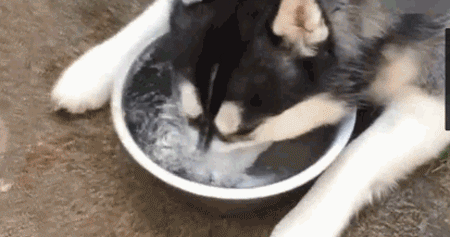 澎湃联播｜这可能是青年节里最不鸡汤的一篇励志好文