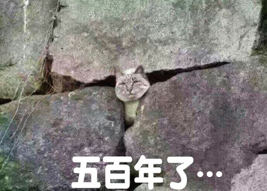 澎湃联播｜这可能是青年节里最不鸡汤的一篇励志好文