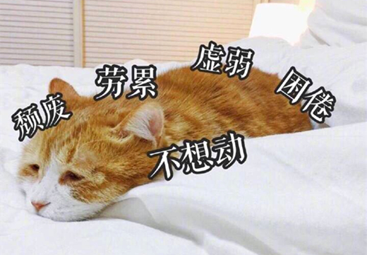 澎湃联播｜这可能是青年节里最不鸡汤的一篇励志好文