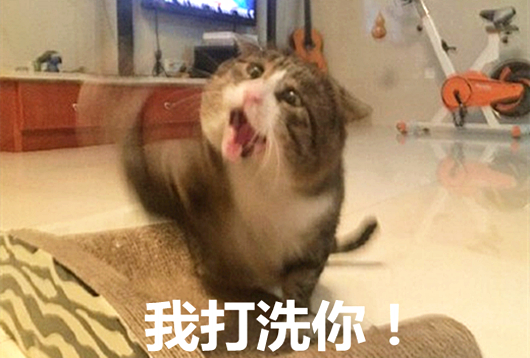 澎湃联播｜这可能是青年节里最不鸡汤的一篇励志好文