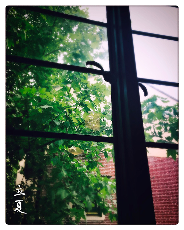 节气｜立夏始养心，怡神兼顺气