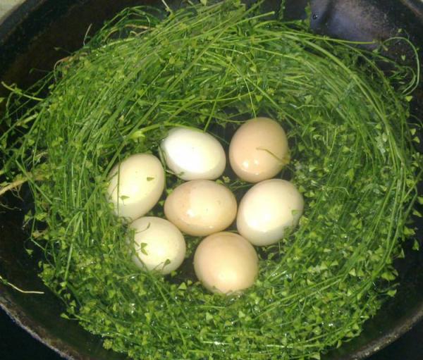 从“春分竖蛋”到“立夏斗蛋”：人为何热衷“玩蛋”游戏？